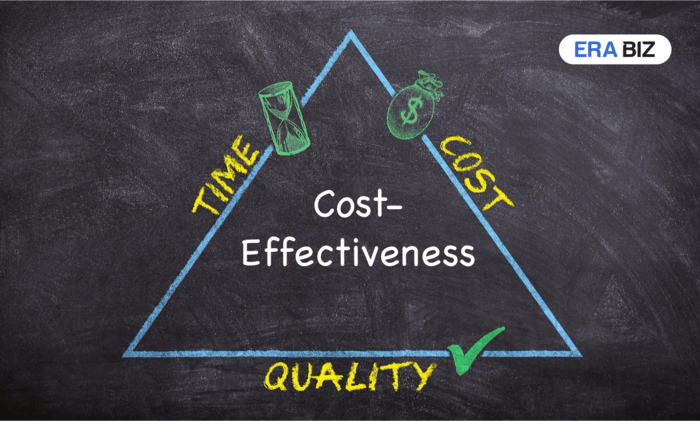 cost effectiveness in Bespoke software development, era biz solutions