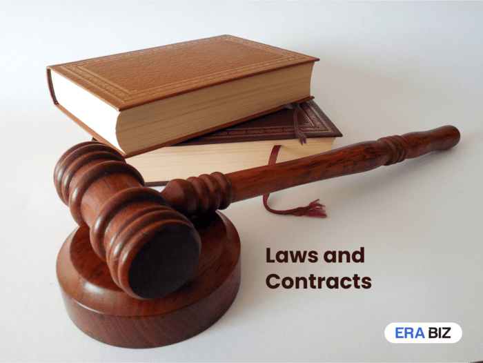 Laws and Contracts used for Bespoke Software Development, Era Biz Solutions