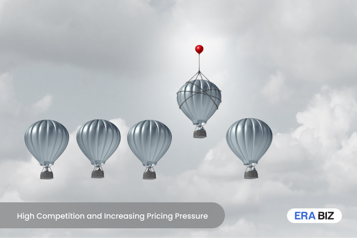 High Competition and Price Pressure like a rising air balloon, IT Outsourcing Challenges, Era Biz Solutions